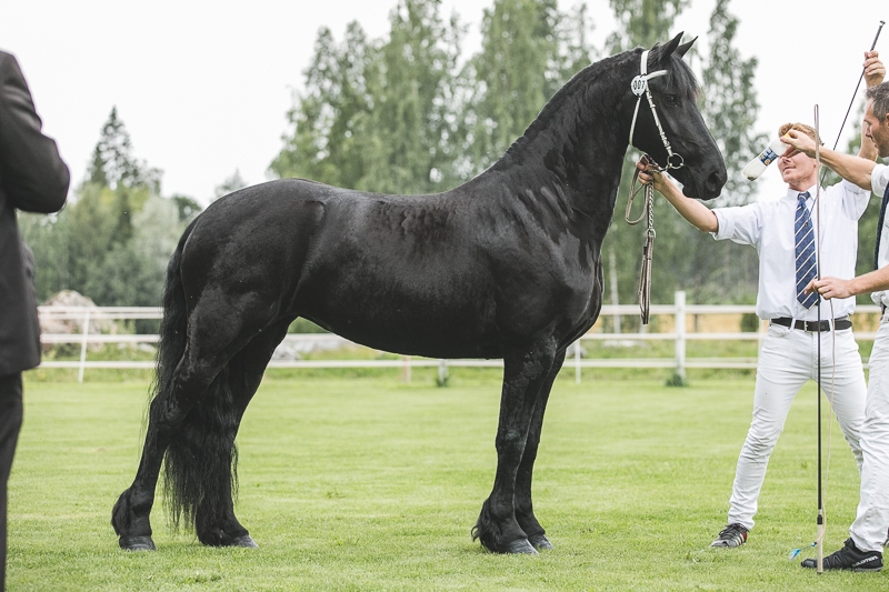 scirlin // FRI-Kuvapankki